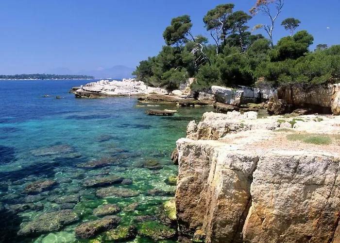 Gorgeous 2 Bedrooms Brand New 3 Avenue Paul Arene Διαμέρισμα Αντίμπ